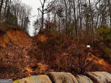 0 Talona Rd unit 10652283, Ellijay, GA 30540 - photo 3
