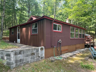 9572 S Oxeye Ave, Baldwin, MI 49304 - photo 5