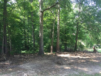 Wood Duck Loop right side of lot