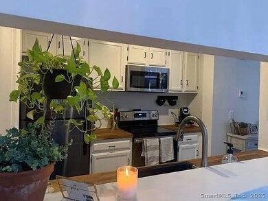 Warrenton Mill Condominiums unit 22, Torrington, CT 06790 - photo 5