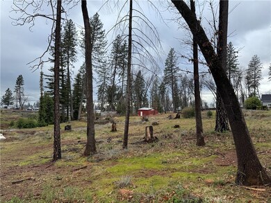 1037 Thomasson Ln, Paradise, CA 95969 - photo 5