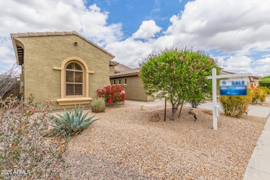 5 Desert View