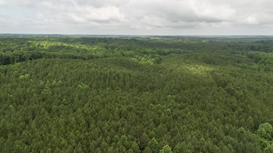 115 Baudy James Rd, Cedar Grove, TN 38321 - photo 2