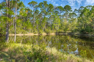 302 Government Rd, Crawfordville, FL 32327 - photo 6