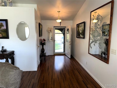 Entrance foyer featuring dark wood-type flooring and baseboards