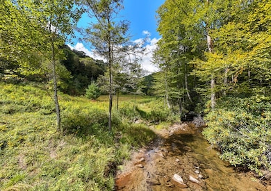 9765 Little Snowbird Rd, Robbinsville, NC 28771 - photo 2