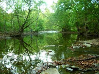 817 Grows Mill Rd, Wilmore, KY 40390 - photo 5