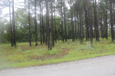 View of road