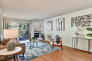 377 Mandarin Dr unit 204, Daly City, CA 94015 - photo 3