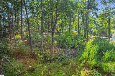 101 & 103 George Williams Dr, Easley, SC 29640 - photo 6