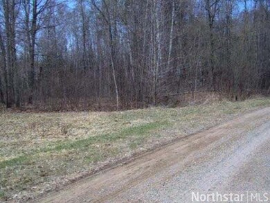 17983 476th Ln, McGregor, MN 55760 - photo 3