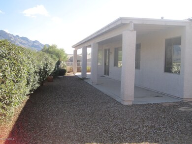 View of backyard