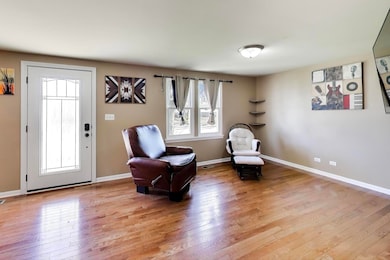 222 Harrison St, Carpentersville, IL 60110 - photo 5