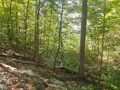 0 Beecher Crossing, Gahanna, OH 43230 - photo 4