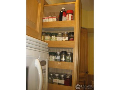Roll out spice cabinet