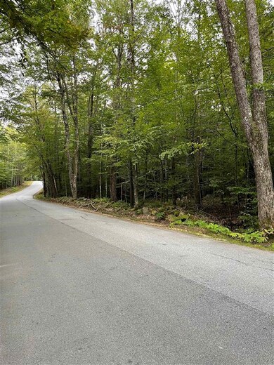 125 Parsons Hill Rd unit Map 9 Lot 12-5, Strafford, NH 03884 - photo 2