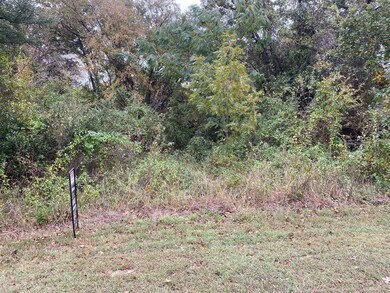 4245 Bay Shore Cir, Granbury, TX 76049 - photo 2