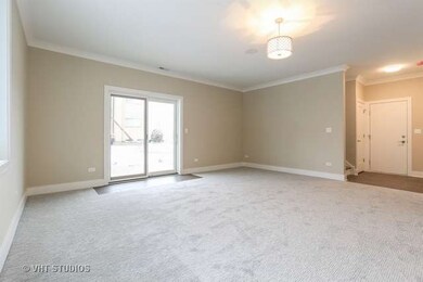 251 W 1st St, Elmhurst, IL 60126 - photo 6