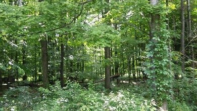 0 Grand Valley View Ct unit 215025511, Howard, OH 43028 - photo 7