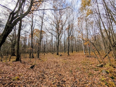 W N 20 School Rd, Glen Flora, WI 54526 - photo 4