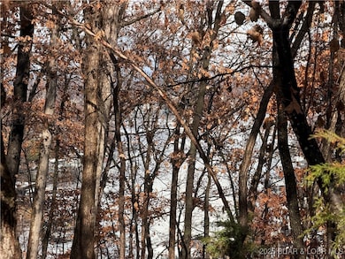 Lot 46 Carol Rd, Pawhuska Township, MO 65049 - photo 4