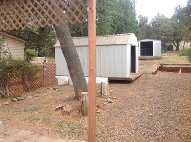 Picture 033