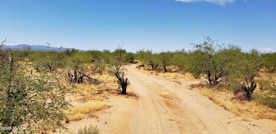 13400BLK W Sundance Trail, Tucson, AZ 85735 - photo 2