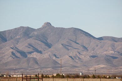 IMG_4495 - Copy (2)