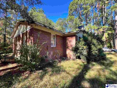 53 Drylog Ave, Kingstree, SC 29556 - photo 3