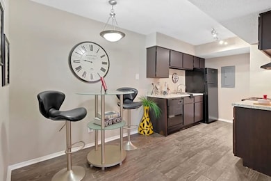 Model Unit