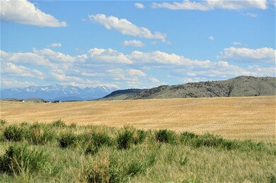 DSC_0308 (2)
