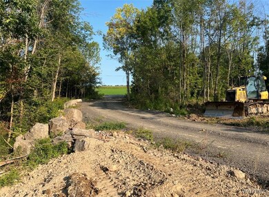 0 Dickersonville Rd unit B1652641, Lewiston, NY 14131 - photo 3