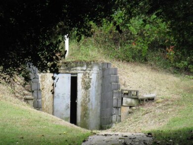 1249 Dog Branch Rd, Goodspring, TN 38460 - photo 5