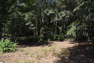 0 Lyman Lodge Rd, Lyman, SC 29365 - photo 3