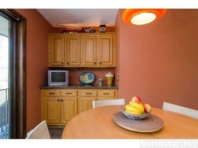 15050 Willowood Dr, Minnetonka, MN 55345 - photo 7