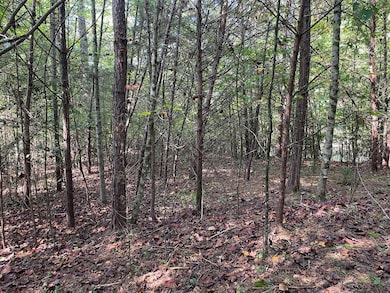 00 Country Walk, Franklin, NC 28734 - photo 7