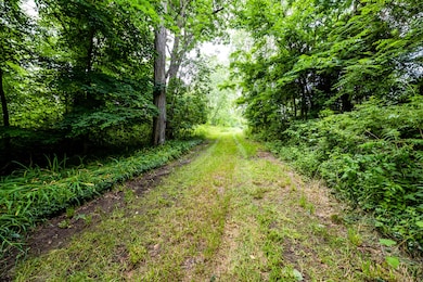 Three Oaks-105