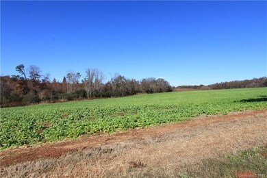 445 Wooten Farm Rd, Statesville, NC 28625 - photo 4