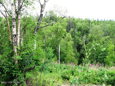 6531 E Upper Ct, Lakes, AK 99645 - photo 6