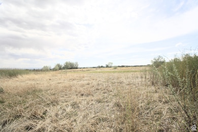 9765 N Uintah Canyon Hwy, Neola, UT 84053 - photo 6