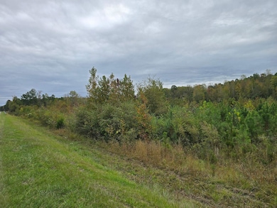 0 E Highway 378 unit SPN331032, McCormick, SC 29385 - photo 3