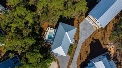 23 Sweetgum Loop, Inlet Beach, FL 32461 - photo 3