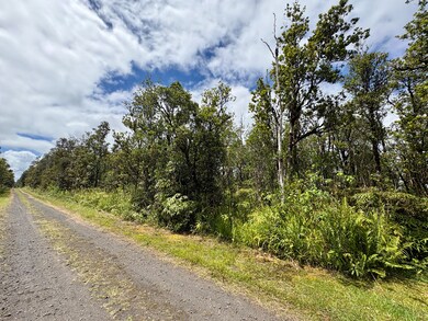 0 Alapua St unit 725668, Mountain View, HI 96771 - photo 6