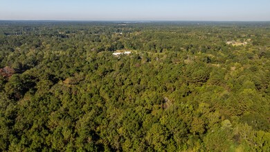 1996 Farm To Market Road 999, Gary, TX 75643 - photo 6