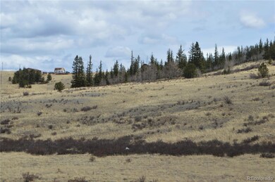 537 Lippzana Rd, Como, CO 80456 - photo 5