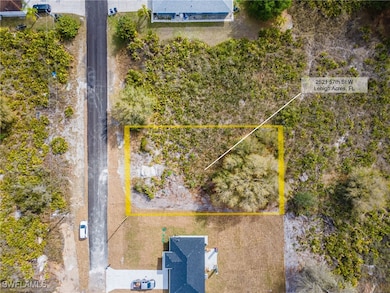 2521 57th St W, Lehigh Acres, FL 33971 - photo 4