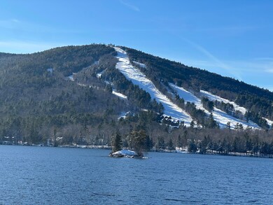 M:18L:20-4 Main St, North Fryeburg, ME 04037 - photo 4