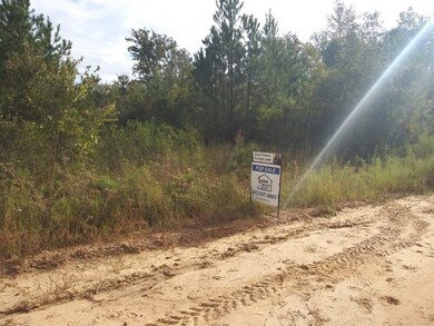 300 Nancy Ln, Ailey, GA 30401 - photo 4