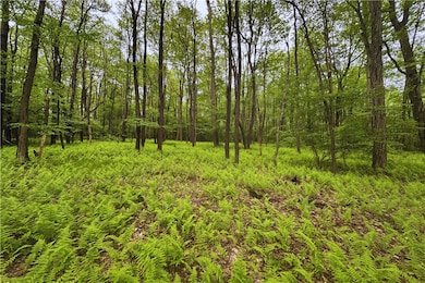 Wooded Tract to Rear, Mature Trees On Site