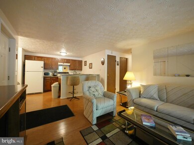 5924 Watch Chain Way unit 501, Columbia, MD 21044 - photo 2